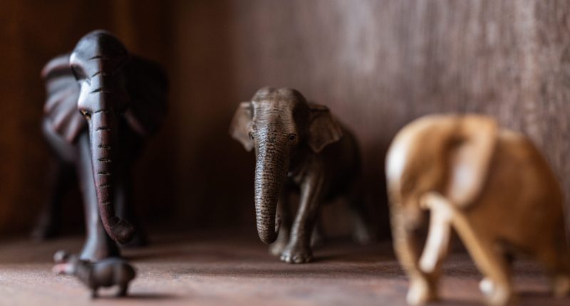 Psychotherapie Leipzig René Pelz Deko-Elefanten in Regal